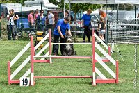 001 FUNNY BOY -05082017-AGI 9314AGILITY COMPIEGNE 2017 - STANDARD : 2017, 25 JUIN 2017, AGILITY COMPIEGNE 2017, AGILITY STANDARD, CAT.C, D68, FUNNY BOY