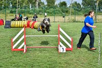 014 FUNNY BOY -05082017-AGI 9333AGILITY COMPIEGNE 2017 - STANDARD : 2017, 25 JUIN 2017, AGILITY COMPIEGNE 2017, AGILITY STANDARD, CAT.C, D68, FT WEB, FUNNY BOY