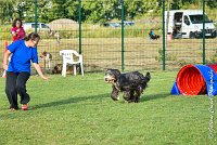 018 FUNNY BOY -05082017-AGI 1390 AGILITY COMPIEGNE 2017 : 2017, 25 JUIN 2017, AGILITY 2, AGILITY COMPIEGNE 2017, CAT.C, D68, FUNNY BOY