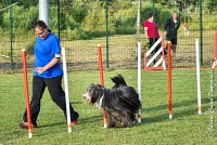 020 FUNNY BOY -05082017-AGI 1392 AGILITY COMPIEGNE 2017 : 2017, 25 JUIN 2017, AGILITY 2, AGILITY COMPIEGNE 2017, CAT.C, D68, FUNNY BOY