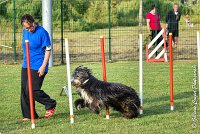 021 FUNNY BOY -05082017-AGI 1393 AGILITY COMPIEGNE 2017 : 2017, 25 JUIN 2017, AGILITY 2, AGILITY COMPIEGNE 2017, CAT.C, D68, FUNNY BOY