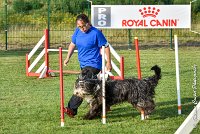 022 FUNNY BOY -05082017-AGI 1394 AGILITY COMPIEGNE 2017 : 2017, 25 JUIN 2017, AGILITY 2, AGILITY COMPIEGNE 2017, CAT.C, D68, FUNNY BOY