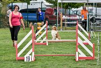 001 GAMJI -05082017-AGI 8658AGILITY COMPIEGNE 2017 - STANDARD : 2017, 25 JUIN 2017, AGILITY COMPIEGNE 2017, AGILITY STANDARD, CAT.C, D33, GAMJI FOR LILI