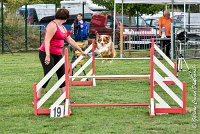 002 GAMJI -05082017-AGI 8660AGILITY COMPIEGNE 2017 - STANDARD : 2017, 25 JUIN 2017, AGILITY COMPIEGNE 2017, AGILITY STANDARD, CAT.C, D33, GAMJI FOR LILI