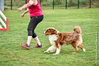 006 GAMJI -05082017-AGI 8664AGILITY COMPIEGNE 2017 - STANDARD : 2017, 25 JUIN 2017, AGILITY COMPIEGNE 2017, AGILITY STANDARD, CAT.C, D33, GAMJI FOR LILI