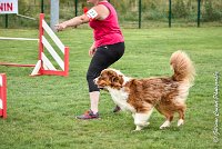 007 GAMJI -05082017-AGI 8665AGILITY COMPIEGNE 2017 - STANDARD : 2017, 25 JUIN 2017, AGILITY COMPIEGNE 2017, AGILITY STANDARD, CAT.C, D33, GAMJI FOR LILI