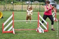 016 GAMJI -05082017-AGI 8675AGILITY COMPIEGNE 2017 - STANDARD : 2017, 25 JUIN 2017, AGILITY COMPIEGNE 2017, AGILITY STANDARD, CAT.C, D33, GAMJI FOR LILI