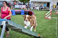 021 GAMJI -05082017-AGI 0404AGILITY COMPIEGNE 2017 - AGILITY 1 : 2017, 25 JUIN 2017, AGILITY 1, AGILITY COMPIEGNE 2017, CAT.C, D33, GAMJI FOR LILI