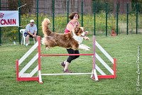 024 GAMJI -05082017-AGI 0407AGILITY COMPIEGNE 2017 - AGILITY 1 : 2017, 25 JUIN 2017, AGILITY 1, AGILITY COMPIEGNE 2017, CAT.C, D33, GAMJI FOR LILI