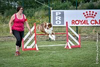 026 GAMJI -05082017-AGI 0409AGILITY COMPIEGNE 2017 - AGILITY 1 : 2017, 25 JUIN 2017, AGILITY 1, AGILITY COMPIEGNE 2017, CAT.C, D33, GAMJI FOR LILI