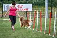 027 GAMJI -05082017-AGI 0411AGILITY COMPIEGNE 2017 - AGILITY 1 : 2017, 25 JUIN 2017, AGILITY 1, AGILITY COMPIEGNE 2017, CAT.C, D33, GAMJI FOR LILI