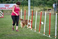 028 GAMJI -05082017-AGI 0412AGILITY COMPIEGNE 2017 - AGILITY 1 : 2017, 25 JUIN 2017, AGILITY 1, AGILITY COMPIEGNE 2017, CAT.C, D33, GAMJI FOR LILI