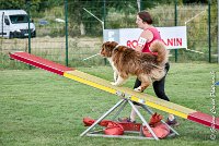 034 GAMJI -05082017-AGI 0419AGILITY COMPIEGNE 2017 - AGILITY 1 : 2017, 25 JUIN 2017, AGILITY 1, AGILITY COMPIEGNE 2017, CAT.C, D33, GAMJI FOR LILI