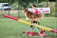 035 GAMJI -05082017-AGI 0420AGILITY COMPIEGNE 2017 - AGILITY 1 : 2017, 25 JUIN 2017, AGILITY 1, AGILITY COMPIEGNE 2017, CAT.C, D33, GAMJI FOR LILI