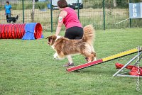036 GAMJI -05082017-AGI 0421AGILITY COMPIEGNE 2017 - AGILITY 1 : 2017, 25 JUIN 2017, AGILITY 1, AGILITY COMPIEGNE 2017, CAT.C, D33, GAMJI FOR LILI