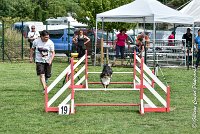 001 GEODE -05082017-AGI 9553AGILITY COMPIEGNE 2017 - STANDARD : 2017, 25 JUIN 2017, AGILITY COMPIEGNE 2017, AGILITY STANDARD, CAT.B, D18, GEODE