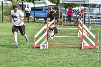 003 GEODE -05082017-AGI 9555AGILITY COMPIEGNE 2017 - STANDARD : 2017, 25 JUIN 2017, AGILITY COMPIEGNE 2017, AGILITY STANDARD, CAT.B, D18, GEODE