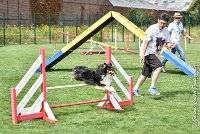 007 GEODE -05082017-AGI 9560AGILITY COMPIEGNE 2017 - STANDARD : 2017, 25 JUIN 2017, AGILITY COMPIEGNE 2017, AGILITY STANDARD, CAT.B, D18, GEODE