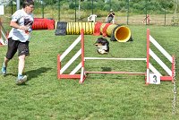 011 GEODE -05082017-AGI 9568AGILITY COMPIEGNE 2017 - STANDARD : 2017, 25 JUIN 2017, AGILITY COMPIEGNE 2017, AGILITY STANDARD, CAT.B, D18, GEODE