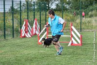 015 GEODE -05082017-AGI 1189sans titre : 2017, 25 JUIN 2017, AGILITY 2, AGILITY COMPIEGNE 2017, CAT.B, D18, GEODE