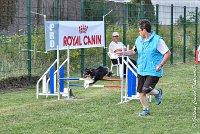 016 GEODE -05082017-AGI 1190sans titre : 2017, 25 JUIN 2017, AGILITY 2, AGILITY COMPIEGNE 2017, CAT.B, D18, GEODE