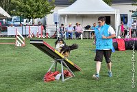 021 GEODE -05082017-AGI 1196sans titre : 2017, 25 JUIN 2017, AGILITY 2, AGILITY COMPIEGNE 2017, CAT.B, D18, GEODE