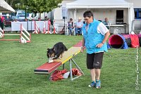 023 GEODE -05082017-AGI 1198sans titre : 2017, 25 JUIN 2017, AGILITY 2, AGILITY COMPIEGNE 2017, CAT.B, D18, GEODE