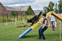 010 HASTONE BLACK -05082017-AGI 8885AGILITY COMPIEGNE 2017 - STANDARD : 2017, 25 JUIN 2017, AGILITY COMPIEGNE 2017, AGILITY STANDARD, CAT.C, D43, HASTONE-BLACK