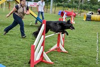 011 HASTONE BLACK -05082017-AGI 8887AGILITY COMPIEGNE 2017 - STANDARD : 2017, 25 JUIN 2017, AGILITY COMPIEGNE 2017, AGILITY STANDARD, CAT.C, D43, HASTONE-BLACK