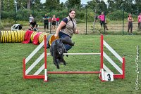 015 HASTONE BLACK -05082017-AGI 8893AGILITY COMPIEGNE 2017 - STANDARD : 2017, 25 JUIN 2017, AGILITY COMPIEGNE 2017, AGILITY STANDARD, CAT.C, D43, HASTONE-BLACK