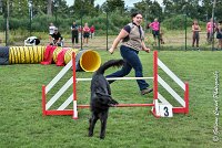 016 HASTONE BLACK -05082017-AGI 8894AGILITY COMPIEGNE 2017 - STANDARD : 2017, 25 JUIN 2017, AGILITY COMPIEGNE 2017, AGILITY STANDARD, CAT.C, D43, HASTONE-BLACK