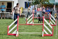 017 HASTONE BLACK -05082017-AGI 0190AGILITY COMPIEGNE 2017 - AGILITY 1 : 2017, 25 JUIN 2017, AGILITY 1, AGILITY COMPIEGNE 2017, CAT.C, D43, HASTONE-BLACK