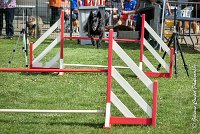 019 HASTONE BLACK -05082017-AGI 0192AGILITY COMPIEGNE 2017 - AGILITY 1 : 2017, 25 JUIN 2017, AGILITY 1, AGILITY COMPIEGNE 2017, CAT.C, D43, HASTONE-BLACK