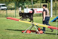 028 HASTONE BLACK -05082017-AGI 0204AGILITY COMPIEGNE 2017 - AGILITY 1 : 2017, 25 JUIN 2017, AGILITY 1, AGILITY COMPIEGNE 2017, CAT.C, D43, HASTONE-BLACK