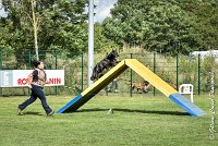 030 HASTONE BLACK -05082017-AGI 0206AGILITY COMPIEGNE 2017 - AGILITY 1 : 2017, 25 JUIN 2017, AGILITY 1, AGILITY COMPIEGNE 2017, CAT.C, D43, HASTONE-BLACK