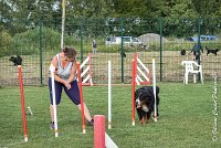017 HEIDI -05082017-AGI 1204AGILITY COMPIEGNE 2017 : 2017, 25 JUIN 2017, AGILITY 2, AGILITY COMPIEGNE 2017, CAT.D, D92, HEIDI