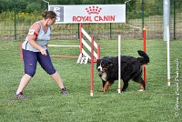 020 HEIDI -05082017-AGI 1207AGILITY COMPIEGNE 2017 : 2017, 25 JUIN 2017, AGILITY 2, AGILITY COMPIEGNE 2017, CAT.D, D92, HEIDI