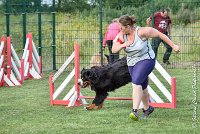 021 HEIDI -05082017-AGI 1209AGILITY COMPIEGNE 2017 : 2017, 25 JUIN 2017, AGILITY 2, AGILITY COMPIEGNE 2017, CAT.D, D92, HEIDI