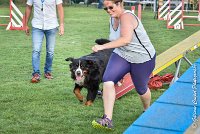 025 HEIDI -05082017-AGI 1215AGILITY COMPIEGNE 2017 : 2017, 25 JUIN 2017, AGILITY 2, AGILITY COMPIEGNE 2017, CAT.D, D92, HEIDI
