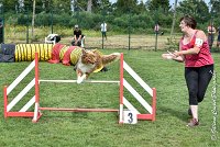 014 JYNKA -05082017-AGI 9034AGILITY COMPIEGNE 2017 - STANDARD : 2017, 25 JUIN 2017, AGILITY COMPIEGNE 2017, AGILITY STANDARD, CAT.C, D51, JYNKA