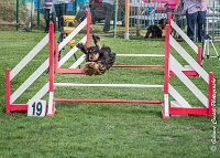 003 LACHEUSE-AGI 9848 : 05 AOUT 2017, 2017, AGILITY COMPIEGNE 2017, FT 13X18, LACHEUSE