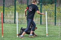 010 LACHEUSE-05082017-AGI 9860AGILITY COMPIEGNE 2017 - STANDARD : 2017, 25 JUIN 2017, AGILITY COMPIEGNE 2017, AGILITY STANDARD, CAT.A, D02, LACHEUSE