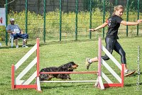 020 LACHEUSE-05082017-AGI 0569AGILITY COMPIEGNE 2017 - AGILITY 1 : 2017, 25 JUIN 2017, AGILITY 1, AGILITY COMPIEGNE 2017, CAT.A, D02, LACHEUSE