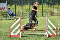 021 LACHEUSE-05082017-AGI 0571AGILITY COMPIEGNE 2017 - AGILITY 1 : 2017, 25 JUIN 2017, AGILITY 1, AGILITY COMPIEGNE 2017, CAT.A, D02, LACHEUSE