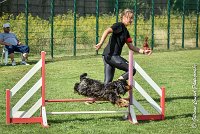 022 LACHEUSE-05082017-AGI 0572AGILITY COMPIEGNE 2017 - AGILITY 1 : 2017, 25 JUIN 2017, AGILITY 1, AGILITY COMPIEGNE 2017, CAT.A, D02, LACHEUSE