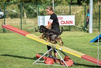 028 LACHEUSE-05082017-AGI 0582AGILITY COMPIEGNE 2017 - AGILITY 1 : 2017, 25 JUIN 2017, AGILITY 1, AGILITY COMPIEGNE 2017, CAT.A, D02, LACHEUSE