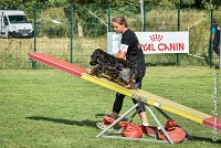 029 LACHEUSE-05082017-AGI 0583AGILITY COMPIEGNE 2017 - AGILITY 1 : 2017, 25 JUIN 2017, AGILITY 1, AGILITY COMPIEGNE 2017, CAT.A, D02, LACHEUSE