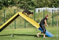 030 LACHEUSE-05082017-AGI 0585AGILITY COMPIEGNE 2017 - AGILITY 1 : 2017, 25 JUIN 2017, AGILITY 1, AGILITY COMPIEGNE 2017, CAT.A, D02, LACHEUSE