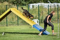 031 LACHEUSE-05082017-AGI 0586AGILITY COMPIEGNE 2017 - AGILITY 1 : 2017, 25 JUIN 2017, AGILITY 1, AGILITY COMPIEGNE 2017, CAT.A, D02, LACHEUSE