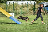 032 LACHEUSE-05082017-AGI 0587AGILITY COMPIEGNE 2017 - AGILITY 1 : 2017, 25 JUIN 2017, AGILITY 1, AGILITY COMPIEGNE 2017, CAT.A, D02, LACHEUSE